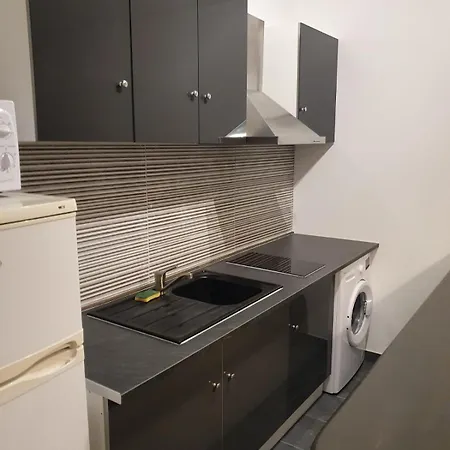 Au Centre Du Puy En Velay 公寓 *